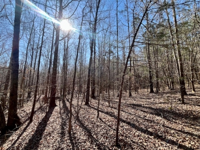 Union County Country Home with Acreage - image 12