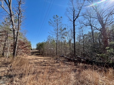 Union County Country Home with Acreage - image 7