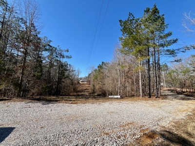 Union County Country Home with Acreage - image 10