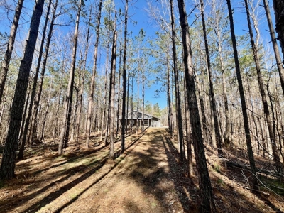 Union County Country Home with Acreage - image 13
