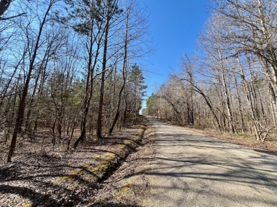 Union County Country Home with Acreage - image 4