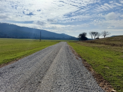 White River Lot For Sale In North Central Arkansas - image 6