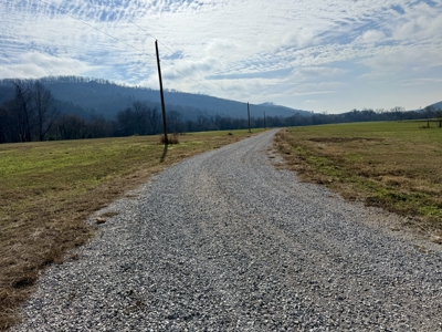 White River Lot For Sale In North Central Arkansas - image 5