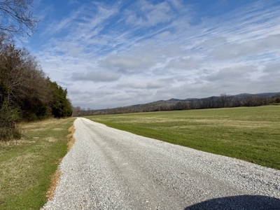 White River Lot For Sale In North Central Arkansas - image 7