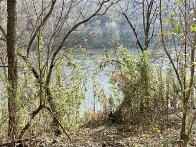 White River Lot For Sale In North Central Arkansas - image 2