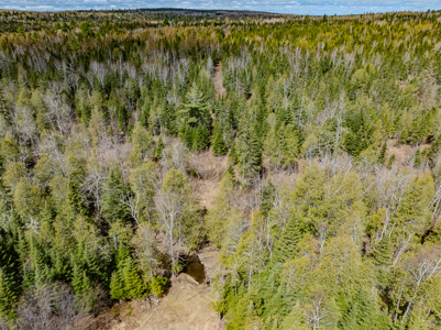 Riverfront Maine Land for Sale - Aroostook County - image 16