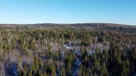 Riverfront Maine Land for Sale - Aroostook County - image 4