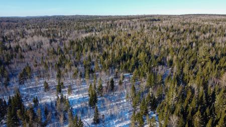 Riverfront Maine Land for Sale - Aroostook County - image 7