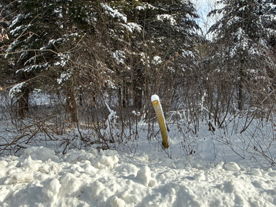 Riverfront Maine Land for Sale - Aroostook County - image 13