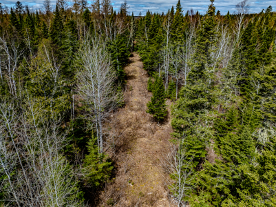 Riverfront Maine Land for Sale - Aroostook County - image 17