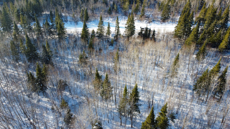 Riverfront Maine Land for Sale - Aroostook County - image 2