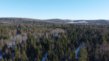 Riverfront Maine Land for Sale - Aroostook County - image 3
