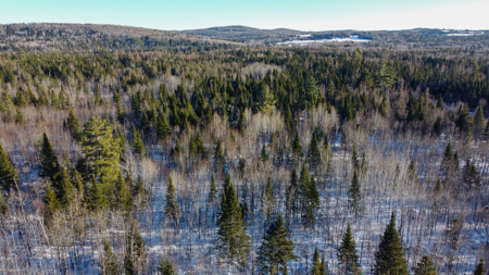 Riverfront Maine Land for Sale - Aroostook County - image 9