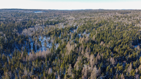 Riverfront Maine Land for Sale - Aroostook County - image 6