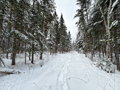 Riverfront Maine Land for Sale - Aroostook County - image 14