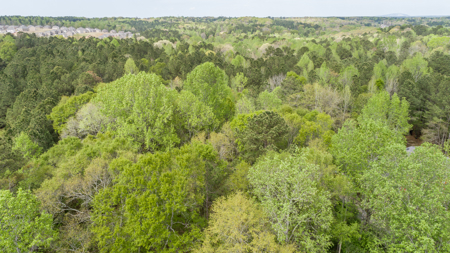 3607 & 3629 Masters Road Ellenwood Ga 30294 - Total of 16 acres - image 13