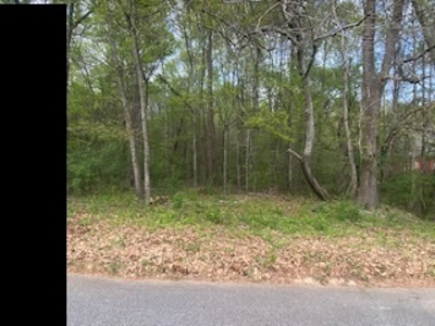 3607 & 3629 Masters Road Ellenwood Ga 30294 - Total of 16 acres - image 4