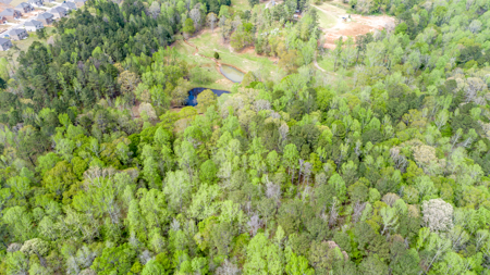 3607 & 3629 Masters Road Ellenwood Ga 30294 - Total of 16 acres - image 6