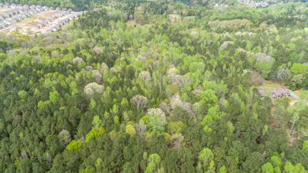 3607 & 3629 Masters Road Ellenwood Ga 30294 - Total of 16 acres - image 5
