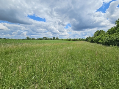 Avalon 160 Online Land Auction - image 16