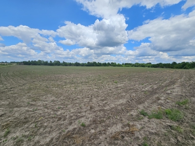 Avalon 160 Online Land Auction - image 12