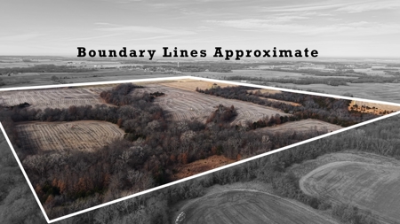 Avalon 160 Online Land Auction - image 2