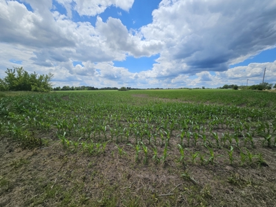 Avalon 160 Online Land Auction - image 13