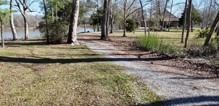 A Rare Riverfront Log Cabin Retreat in Butte La Rose - image 3