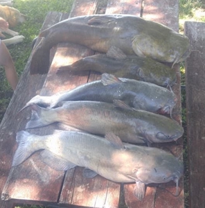 Country Retreat Near John Redmond Reservoir - image 30