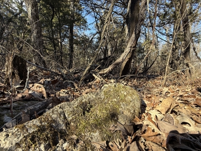 Country Retreat Near John Redmond Reservoir - image 17