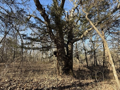 Country Retreat Near John Redmond Reservoir - image 16