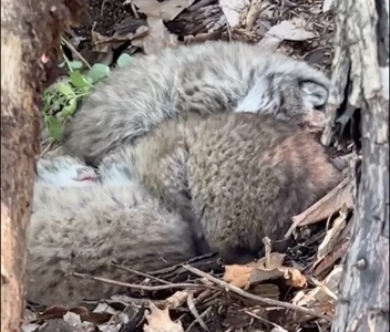 Country Retreat Near John Redmond Reservoir - image 27