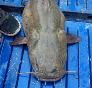 Country Retreat Near John Redmond Reservoir - image 29
