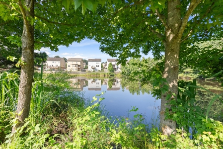 Lakefront home in Buford GA - Only $560,000 - image 35