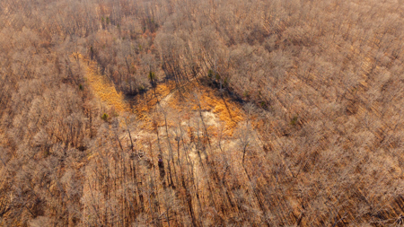 Country Home + Acreage in the Missouri Ozarks | West Plains - image 48