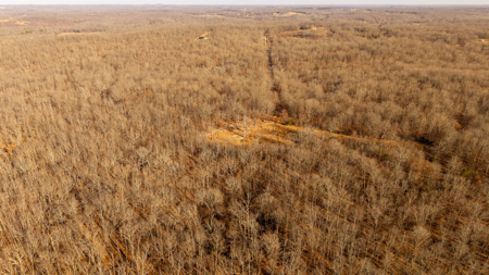 Country Home + Acreage in the Missouri Ozarks | West Plains - image 50