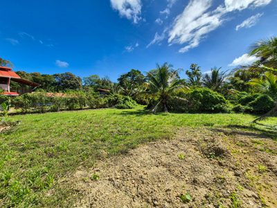 Affordable Titled Lot in Big Creek, Isla Colon, Bocas del Toro - image 4