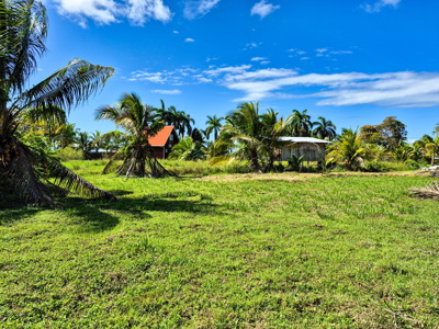 Affordable Titled Lot in Big Creek, Isla Colon, Bocas del Toro - image 7