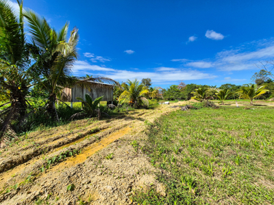 Affordable Titled Lot in Big Creek, Isla Colon, Bocas del Toro - image 5