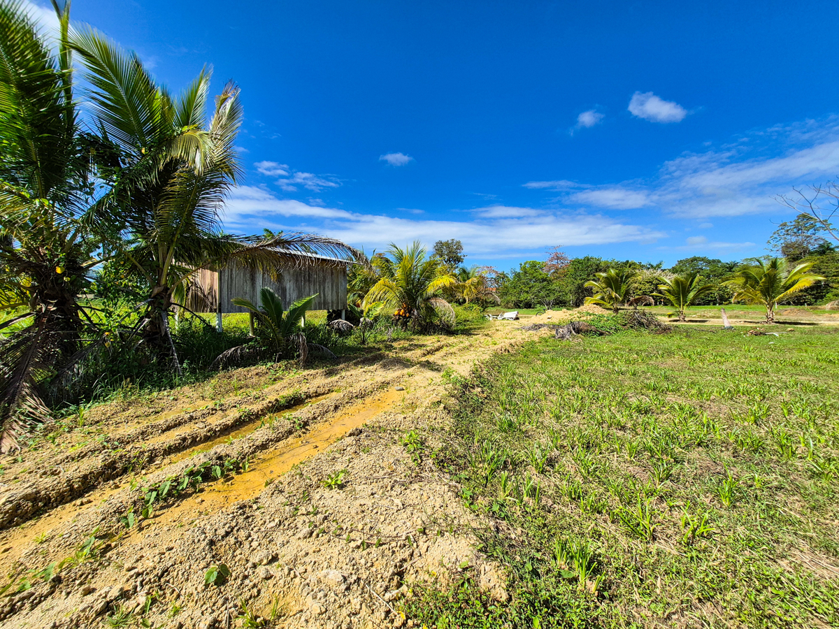 Grundstück 850 m², Baureif — Big Creek, Isla Colón - 11