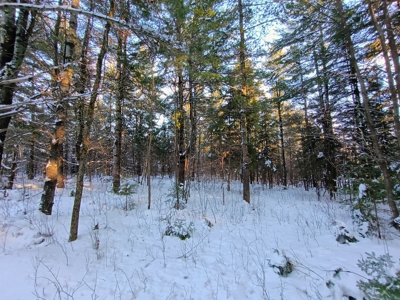 Custom Built Home with 124.16 ± Acres for Sale in Park Falls, WI - image 27