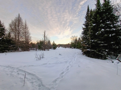 Custom Built Home with 124.16 ± Acres for Sale in Park Falls, WI - image 31