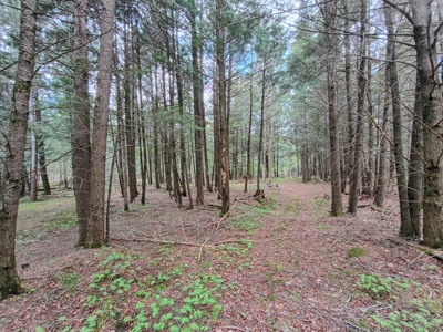 Custom Built Home with 65.8 ± Acres for Sale in Park Falls, WI - image 46