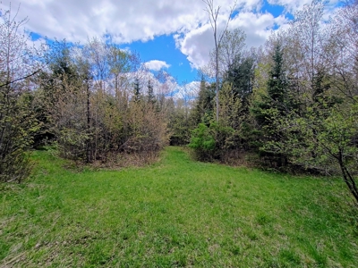 Custom Built Home with 65.8 ± Acres for Sale in Park Falls, WI - image 40
