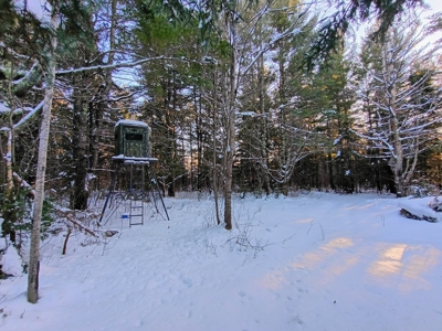 Custom Built Home with 124.16 ± Acres for Sale in Park Falls, WI - image 26