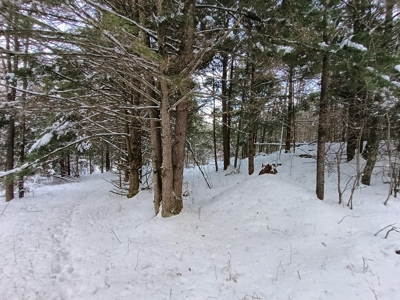 Custom Built Home with 124.16 ± Acres for Sale in Park Falls, WI - image 30