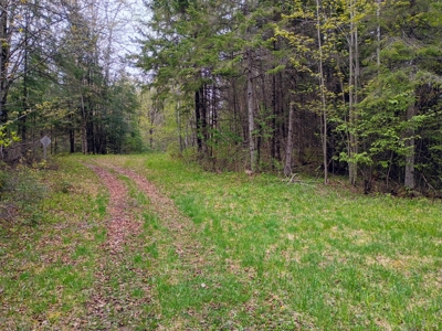 Custom Built Home with 65.8 ± Acres for Sale in Park Falls, WI - image 41