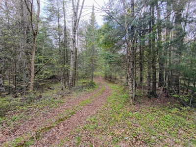 Custom Built Home with 65.8 ± Acres for Sale in Park Falls, WI - image 42