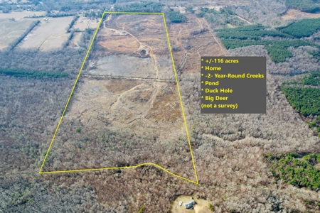 Country Home on Big Acreage in Marietta, Prentiss Co., MS - image 2