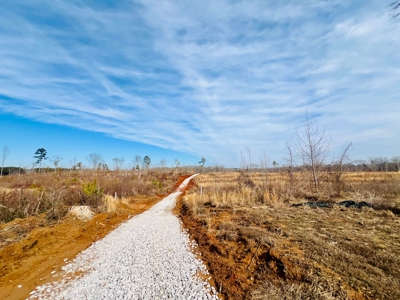 Country Home on Big Acreage in Marietta, Prentiss Co., MS - image 35